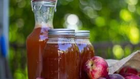 Veja como fazer um suco perfeito de maçã e linhaça para perder medidas no abdômen