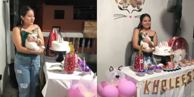 Jovem realiza festa de aniversário para seu gato e momento do parabéns chama atenção