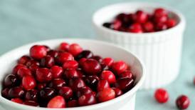 Novo estudo revela os benefícios dos cranberries para a saúde do cérebro