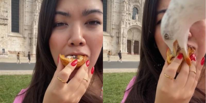 Gaivota 'rouba' comida da boca de uma turista e o momento viraliza