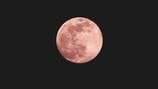 Lua rosa: quando e onde poderemos ver a lua cheia de abril em seu ponto mais brilhante?