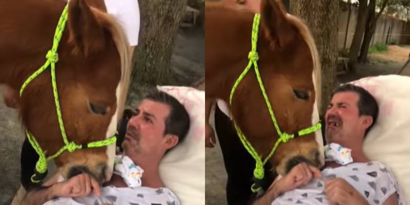 Homem em recuperação emocionado com cavalo