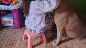 Garotinha viraliza no TikTok após ser flagrada proporcionando ‘dia de beleza’ para sua cachorra enquanto canta música de Shakira