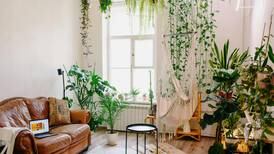 5 elementos decorativos sustentáveis que você pode incorporar em casa para torná-la mais ecológica