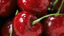 Para combater o estresse: Veja como preparar um delicioso suco de cereja