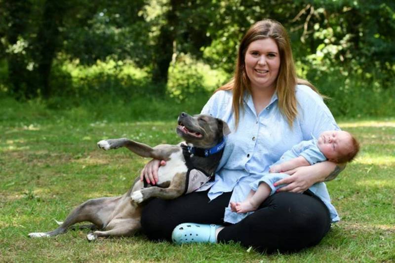 Um cachorra acompanhou sua dona durante o parto e ficou conhecida como a primeira “cachorra doula” do Reino Unido