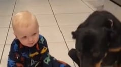 Bebê com um cachorro