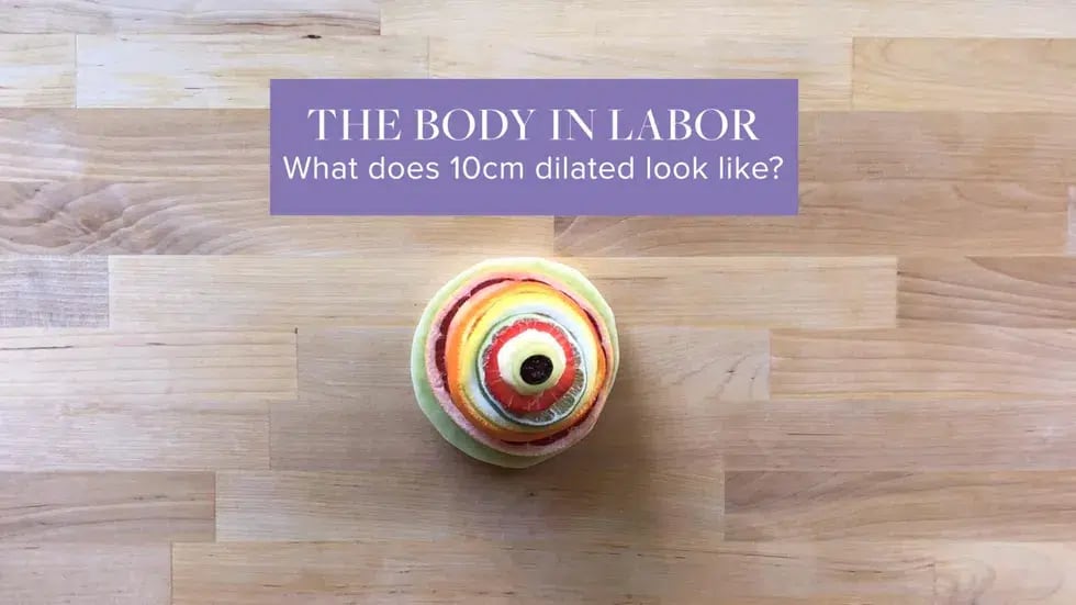O corpo em trabalho de parto: veja como é 10 cm de dilatação, que ocorre no momento do nascimento