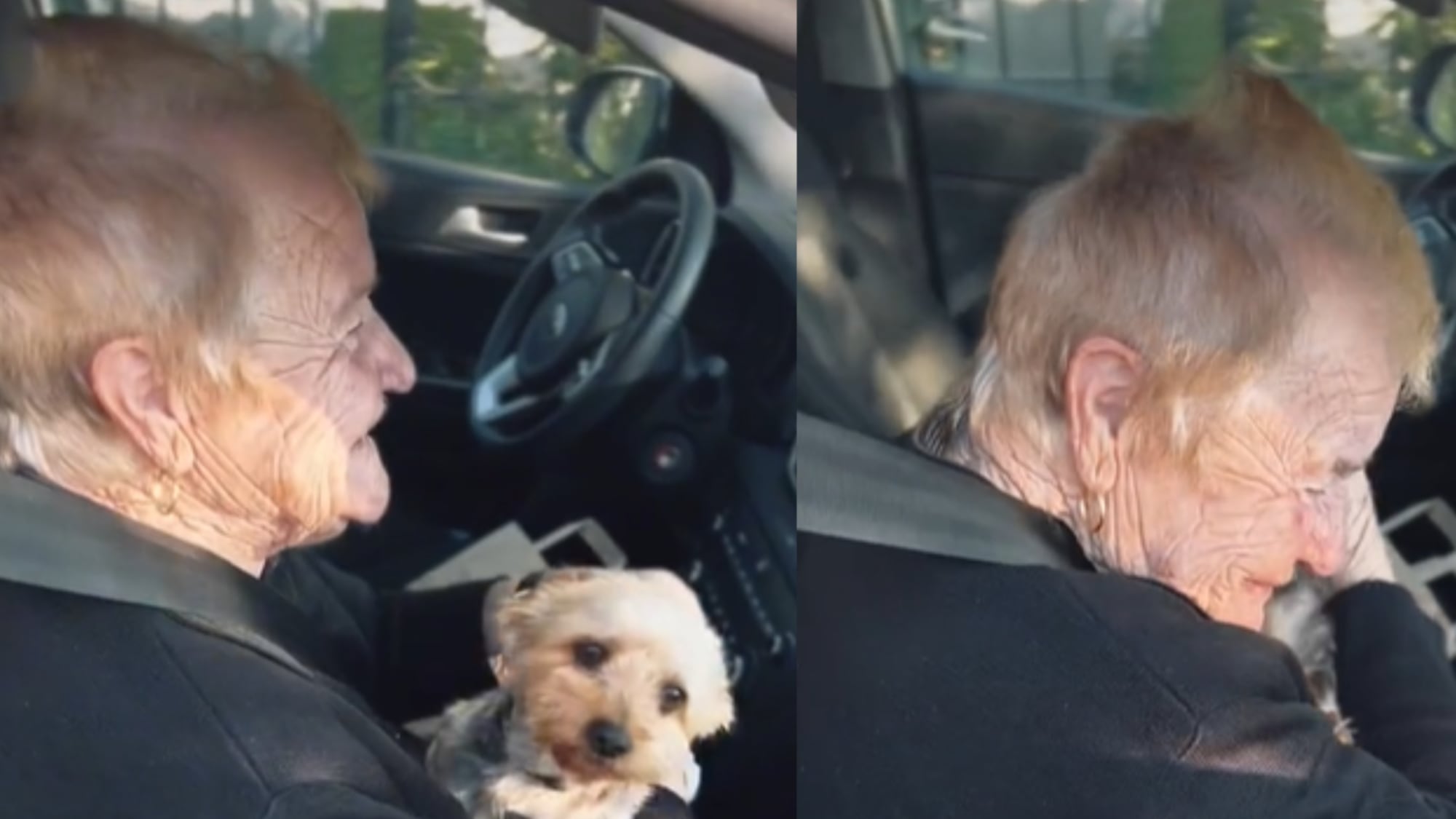 Mulher reencontra seu cachorro após passar dias no hospital