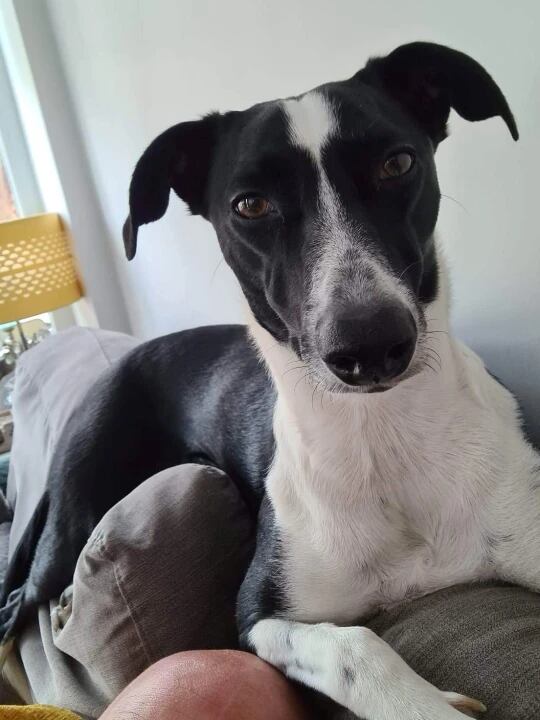 Luna