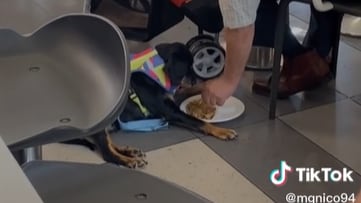 Homem é flagrado em momento emocionante com sua cachorrinha paraplégica em praça de alimentação e viraliza