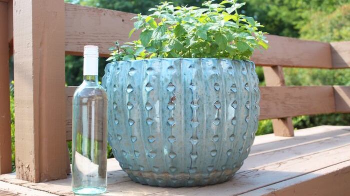 Foto de vaso de planta com garrafa de vinho ao lado