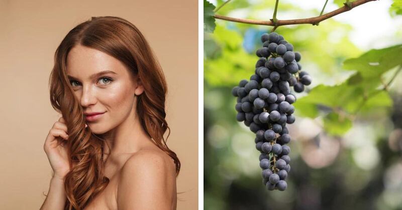 Óleo de semente de uva para o cabelo